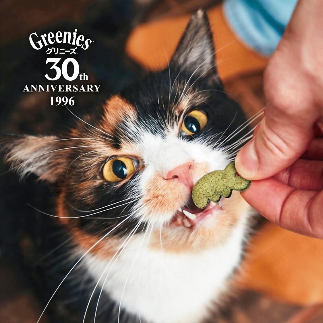猫用グリニーズ商品情報