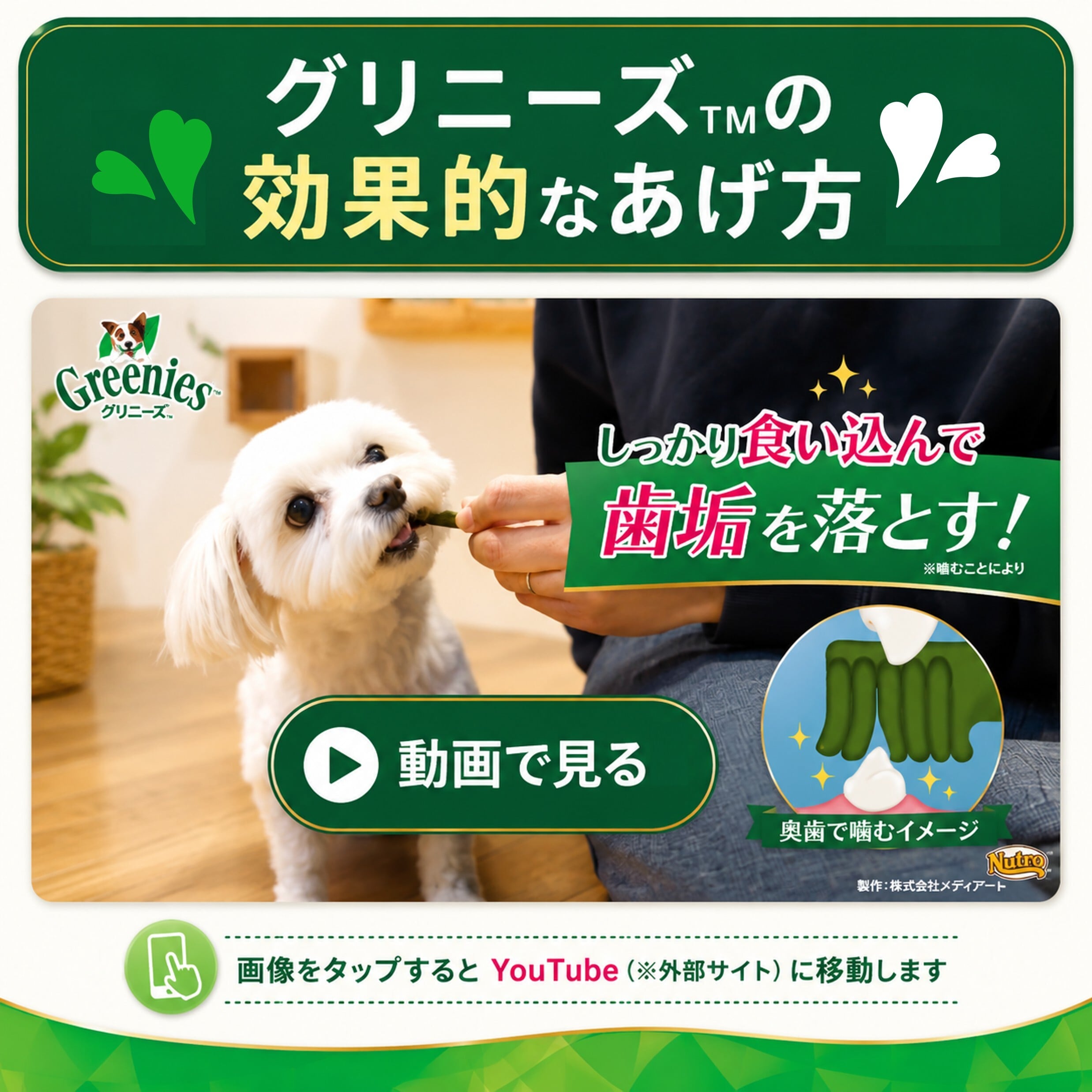 犬用グリニーズ商品情報